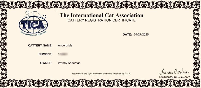 ANDERPRIDE KITS END OF 2025 . 4šCOUNCIL LICENSED. TICA REG, DNA𧬠CLEAR. FAMILY HOME RAISED WITH NO EXPENSE SPARED . KITTEN PACK , INSURANCE INCLUDED for sale in Carlisle, Cumbria | Image 2