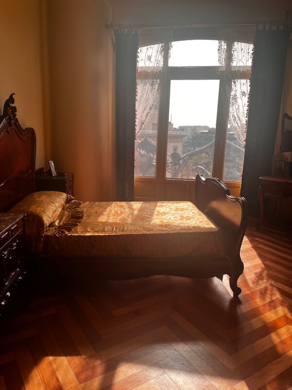 RHIANNON TAHANCI - Maine Coon Breeder - Image 6